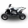 GPR Access SP250/ SP300 Speed 2005 2021 CO.ATV.1.DEATV