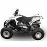 GPR Access SM/EN 450 2005 2024 ATV.47.DEATV