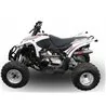 GPR Aeon Cobra 400 (MOTOBIONISCS) 2010 2021 CO.ATV.37.DEATV