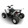 GPR Aeon Cobra 400 Efi e4 2017/2020 (MOTOBIONISCS) CO.ATV.38.DEATV