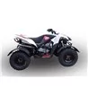 GPR Beeline Bestia 5.5 SM/EN CO.ATV.34.DEATV