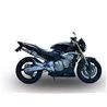 GPR Honda Hornet Cb 600 F 2003/06 CAT.96.DE