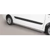 Seitenschutz Fiat Scudo LWB 