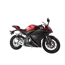 GPR Yamaha Yzf-R 125 i.e. 2017/2018 e4 E4.Y.210.CAT.ALBE4