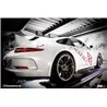 IPE F1 Porsche 991/991.2 911 GT3/RS 2013-