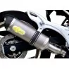 Exan Oval Carbon Cap