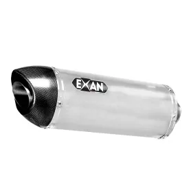 Exan Suzuki GSF Bandit 650 Ovale Carbon Cap