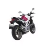 Exan Suzuki Gladius Ovale Carbon Cap