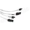Cargraphic EXFLAPRCOEE3E Exhaust valve control units