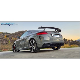 Sportauspuff Inoxcar AUDI TT (TYPE 8S) AFTT.06CAT