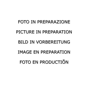Ragazzon 50.0983.30 - Mini F56 JCW 2.0 2014-07/2018