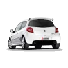 Scarico Akrapovic RENAULT Clio III RS 200