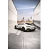 Capristo Aston Martin Vantage V8 4.0 Biturbo 02AM05003014