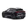 Scarico Akrapovic CUPRA Formentor VZ5