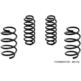 Ressort Court -30mm Magneti Marelli MS101 Cupra Formentor