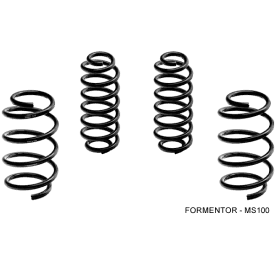Muelle Rebajado -30mm Magneti Marelli MS101 Cupra Formentor