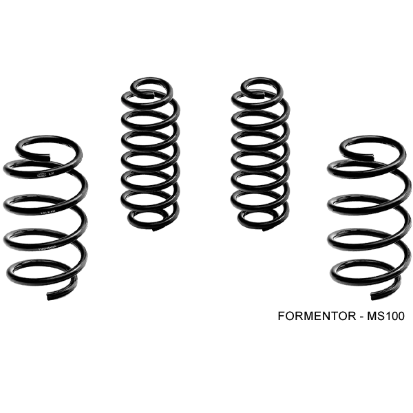 Muelle Rebajado -30mm Magneti Marelli MS101 Cupra Formentor