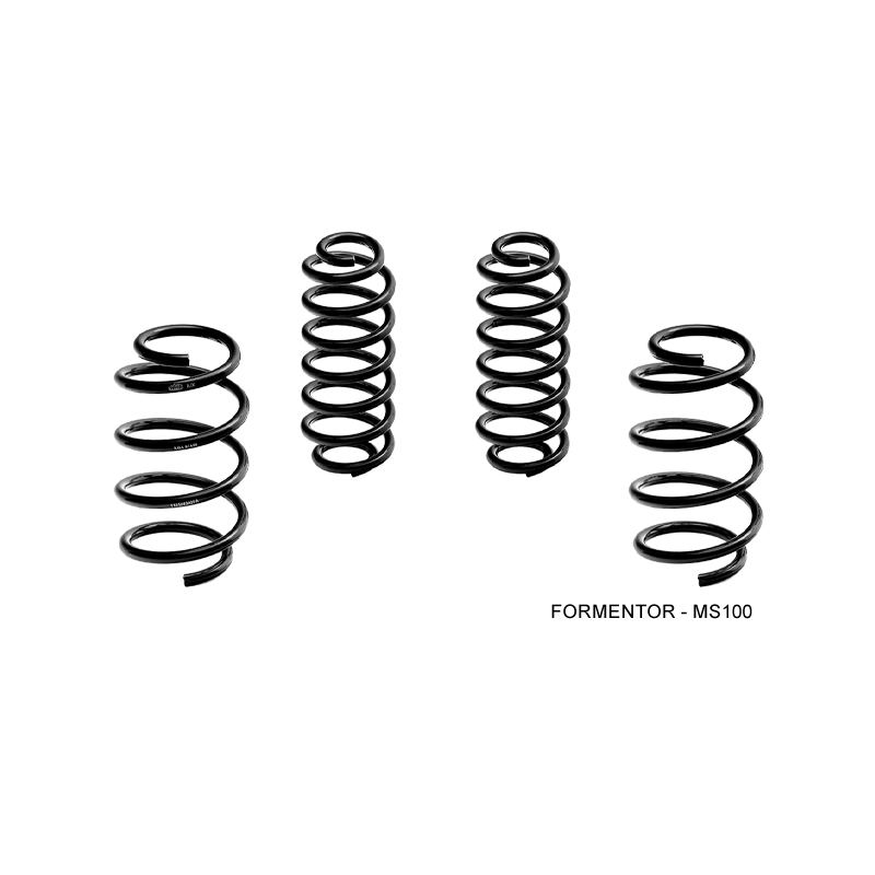 Tieferlegungsfeder -30mm Magneti Marelli MS101 Cupra Formentor Tieferlegungsfeder -30mm Magneti Marelli MS101 Cupra Formentor