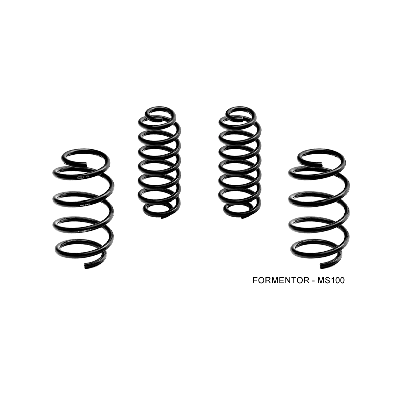 Molla Ribassata -30mm Magneti Marelli MS101 Cupra Formentor