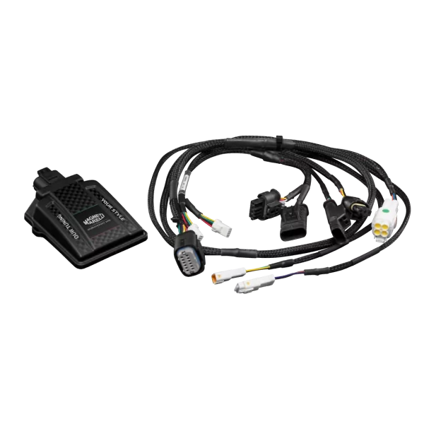 Module Moteur Magneti Marelli MEM01B Cupra Formentor