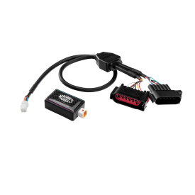 Gaspedalmodul Magneti Marelli MPM07 Ford Fiesta VI