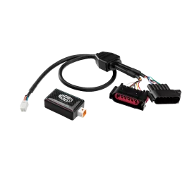 Throttle Pedal Module Magneti Marelli MPM07 Ford Fiesta VI
