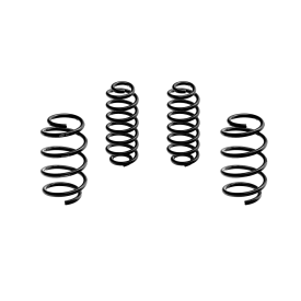 Ressort Court -30mm Magneti Marelli MS100 Cupra Formentor