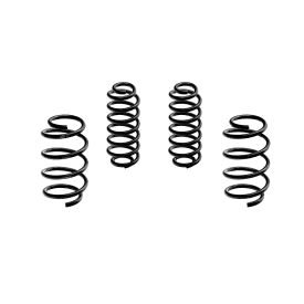 Muelle Rebajado -30mm Magneti Marelli MS100 Cupra Formentor