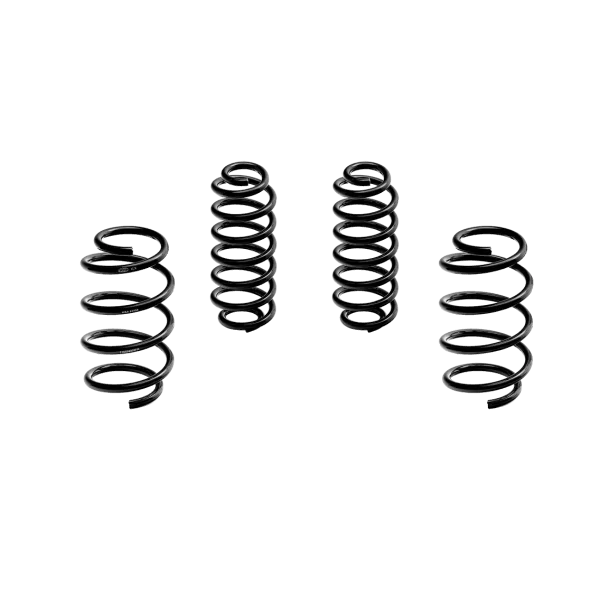 Ressort Court -30mm Magneti Marelli MS100 Cupra Formentor