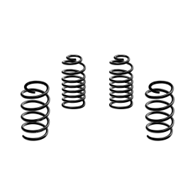 Lowering Spring -30mm Magneti Marelli MS1101 Renault Clio IV