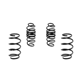 Molla Ribassata -30mm Magneti Marelli MS402 Ford Fiesta VII
