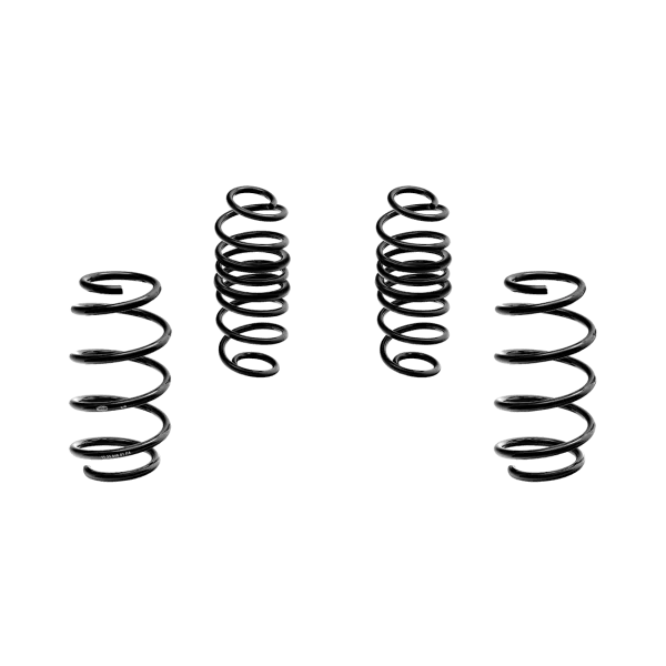 Molla Ribassata -30mm Magneti Marelli MS402 Ford Fiesta VII