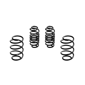 Lowering Spring -30mm Magneti Marelli MS452 Ford Focus IV