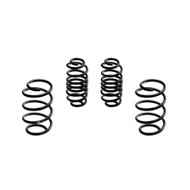 Tieferlegungsfeder -30mm Magneti Marelli MS452 Ford Focus IV