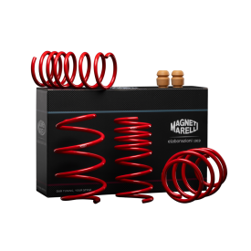 Tieferlegungsfeder -30mm Magneti Marelli MS500 Abarth 500