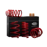 Molla Ribassata -30mm Magneti Marelli MS500 Abarth 500