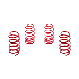 Molla Ribassata -30mm Magneti Marelli MS700 Alfa Romeo Mito