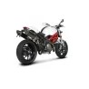 Akrapovic S-D10SO7-HZC Ducati Monster 696 795 796 1100