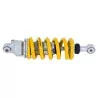 Federbein Ohlins BM 503 - BMW R 1200 RT, Front