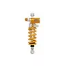 Shock absorber Ohlins BM 450 - BMW R nine T