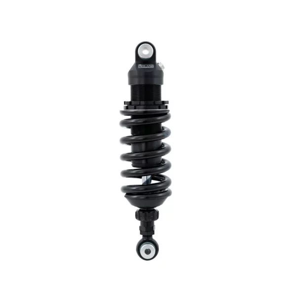 Federbein Ohlins BM 493 - BMW R nine T