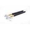Forcella Ohlins FGRT 227 - BMW R nine T