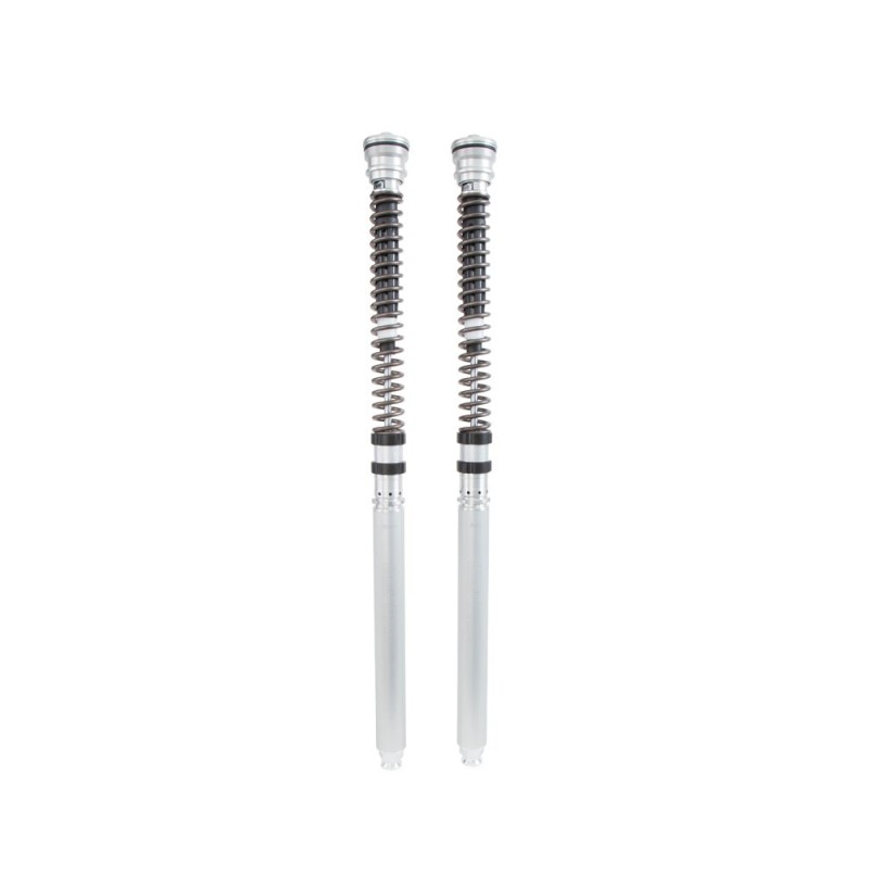 Cartuccia Ohlins FKR 104 - BMW S 1000 RR