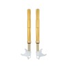 Forcella Ohlins FGRT 210 - Ducati 1198 (forcella showa)