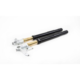 Forcella Ohlins FGRT 213 - Ducati 1198 (forcella showa)