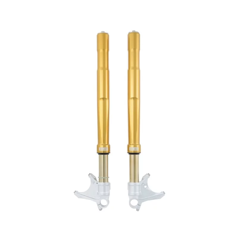 Fourche Ohlins FGRT 203 - Ducati 1299 Panigale