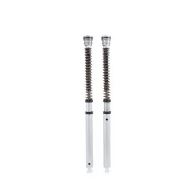 Cartouche Ohlins FGK 219 - Ducati 1299 Panigale S (fork Ohlins FL945)