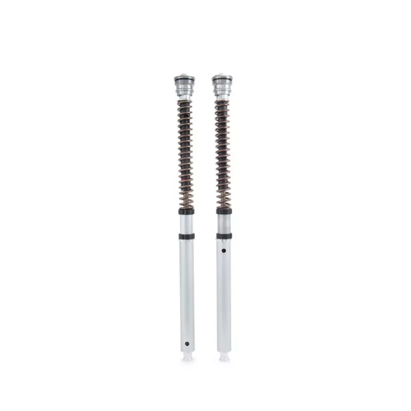 Cartridge kit Ohlins FGK 219 - Ducati 1299 Panigale S (fork Ohlins FL945) Cartridge kit Ohlins FGK 219 - Ducati 1299 Panigale S (fork Ohlins FL945)