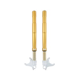 Forcella Ohlins FGRT 231 - Ducati 899 Panigale (forcella showa)