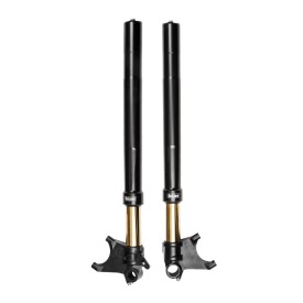 Forcella Ohlins FGRT 301 - Ducati Diavel